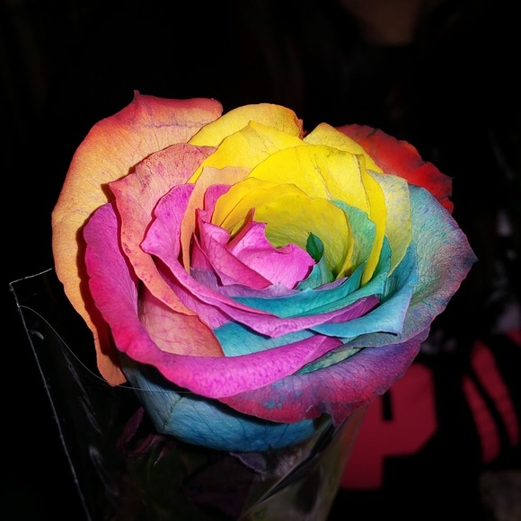 Meet your Posher, Maribel - Picture 2 of 2